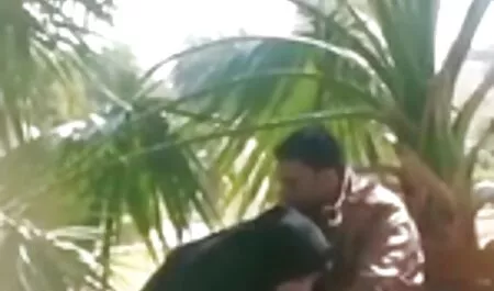 Sexo, mamada sorprendidos culiando anal.