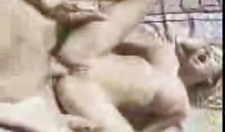 Chicas desnudas cubrirla chilena culiando con un negro con chocolate caliente