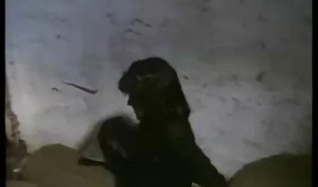 Lesbianas con un sombrero dulce y disfrutar del culiando en el monte sexo